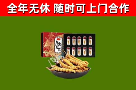 湟中回收冬虫夏草价格