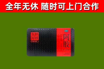 湟中回收阿胶
